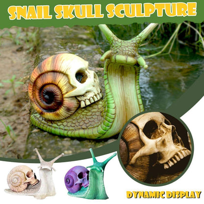 Snail Skull-pture