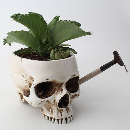 Desktop Skull Flower Pot